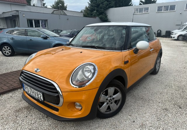 mini