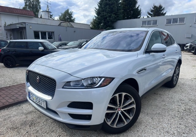 jaguar